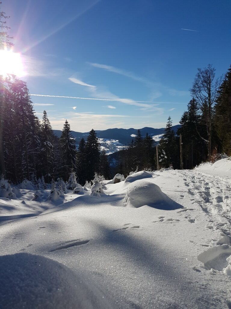 Geführte Schneeschuh Touren Hochschwarzwald