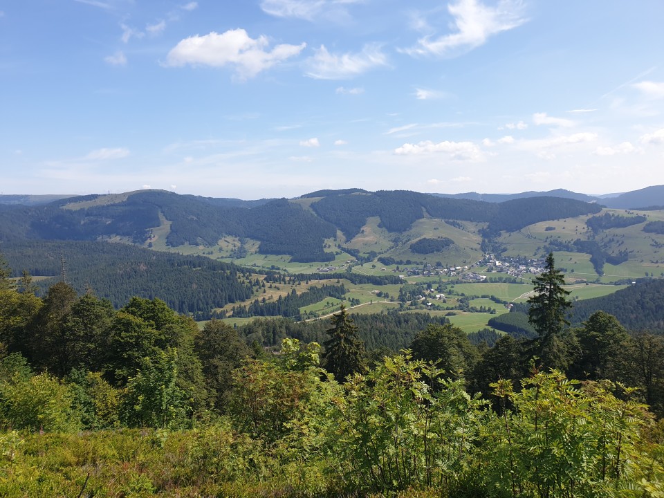 Geführte Wandertouren Nordic Walking Touren Hochschwarzwald