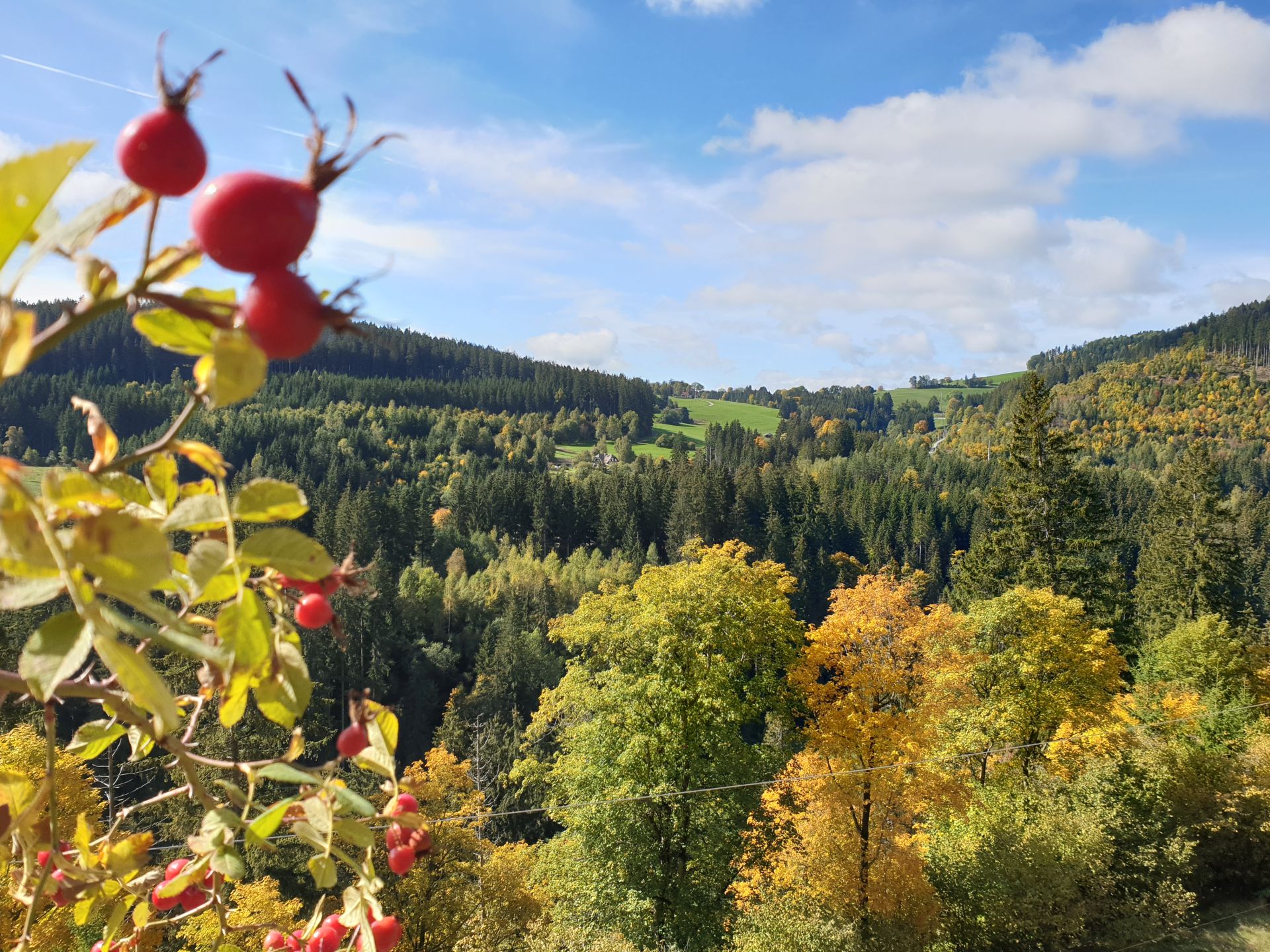 Hochschwarzwald Tourenguide Wandern MTB Guide Herbst