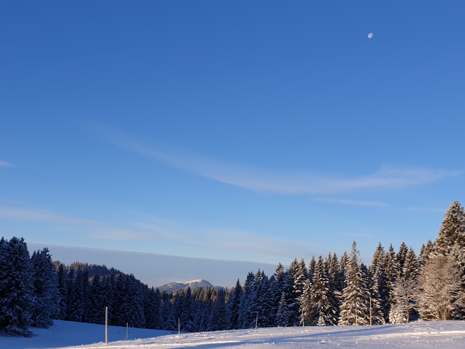 Hochschwarzwald Tour Guide Skitouren Winter