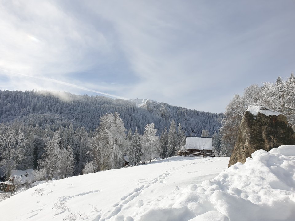 Tourguide Hochschwarzwald Schneeschuhtour Feldberg