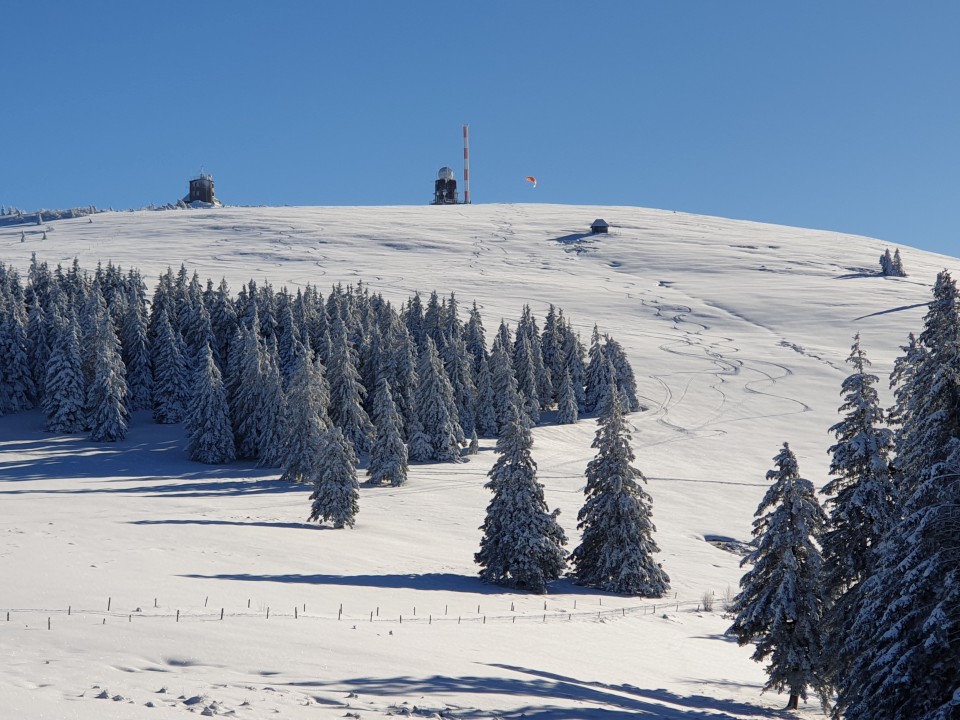 Tourguide Hochschwarzwald Skitouren Feldberg