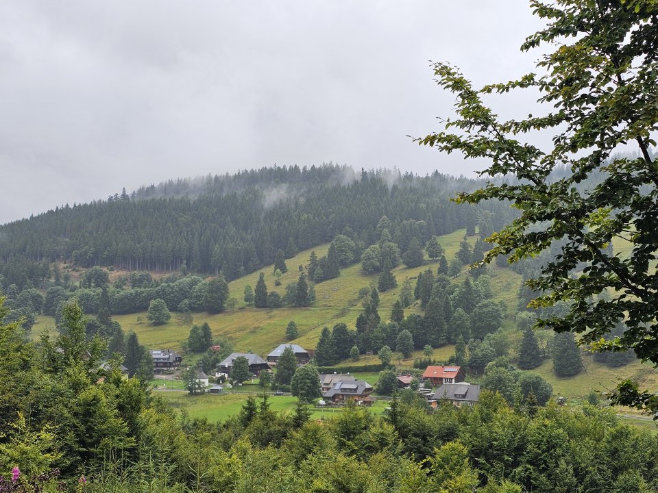Tourguide Hochschwarzwald Äule