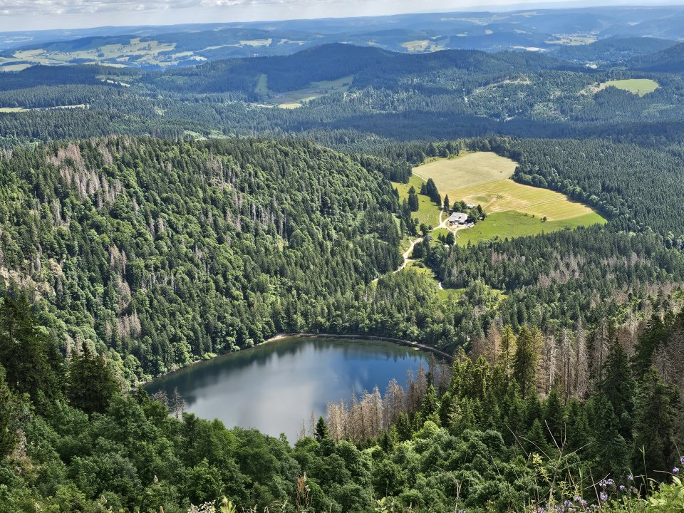 Tourguide Hochschwarzwald Feldsee