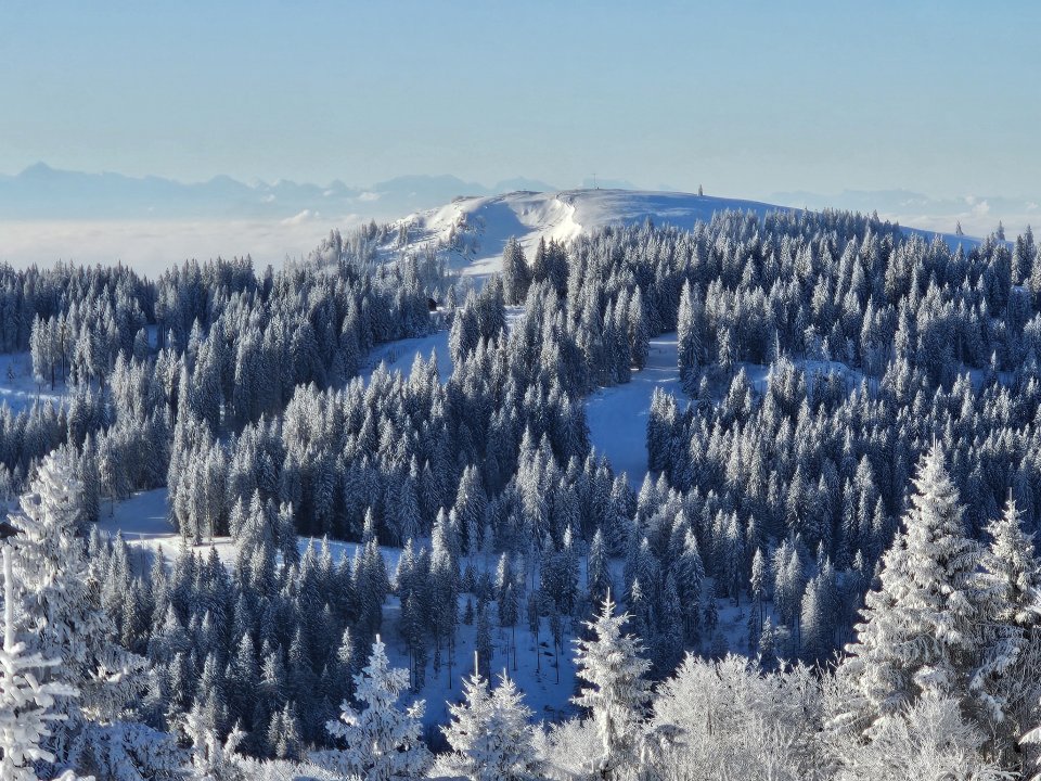 Tourguide Hochschwarzwald Herzogenhorn