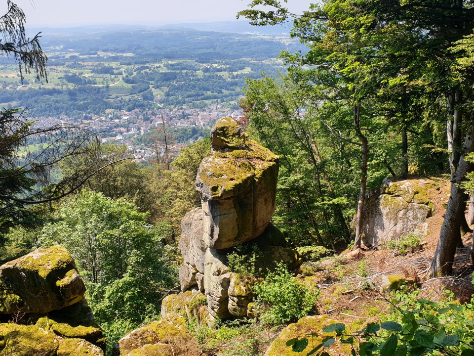 Tourguide Hochschwarzwald Hotzenwald