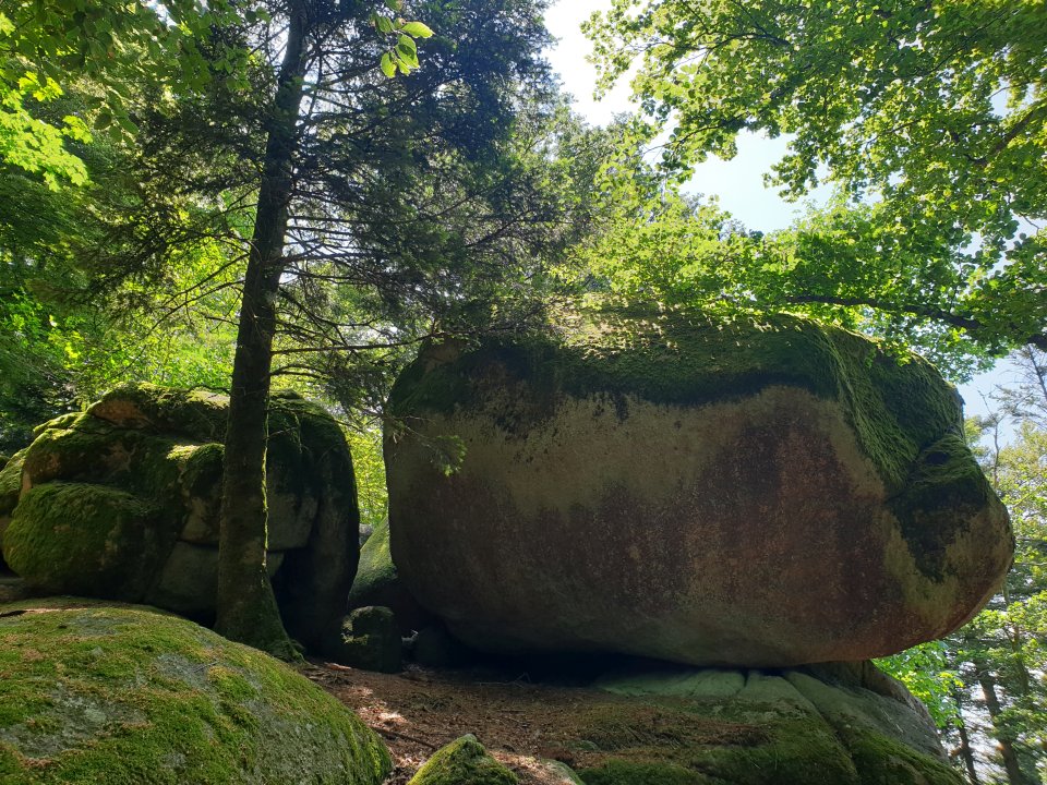 Tourguide Hochschwarzwald Hotzenwald