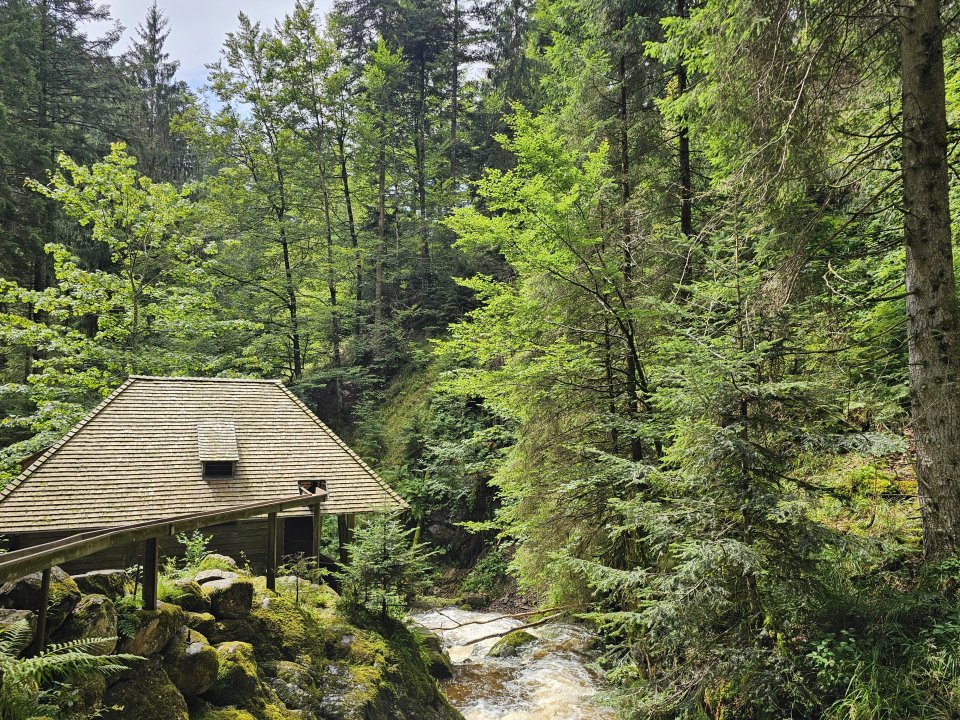 Tourguide Hochschwarzwald Ravennaschlucht