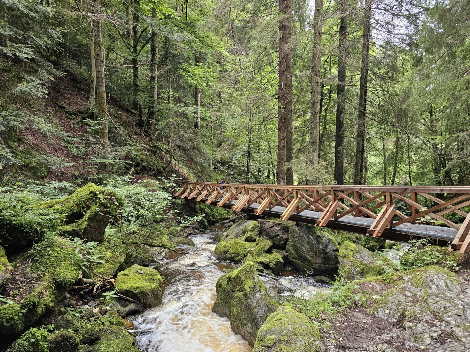 Tourguide Hochschwarzwald Ravennaschlucht