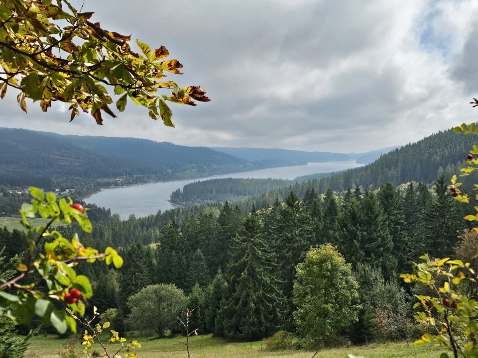 Tourguide Hochschwarzwald Schluchseel