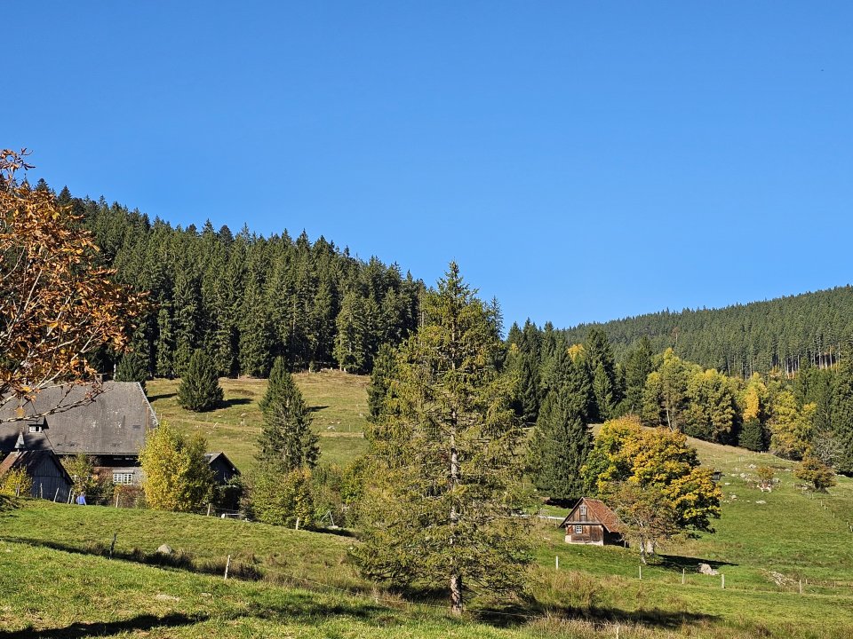 Tourguide Hochschwarzwald Windberghof