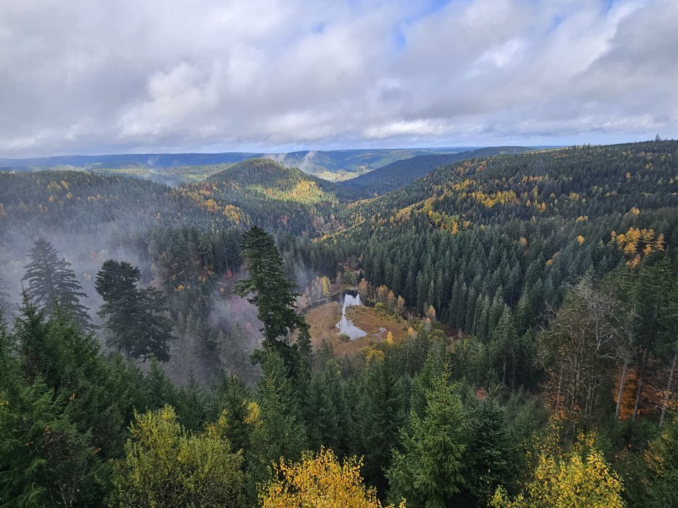 Tourenguide Wanderungen Westweg