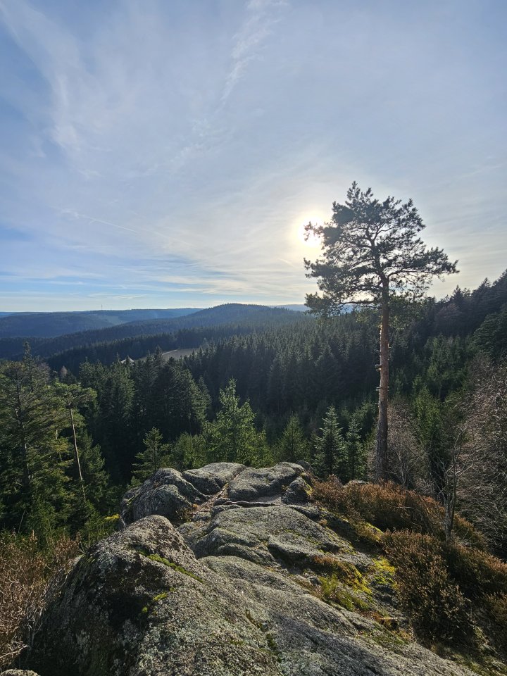 Tourenguide Wanderungen Westweg