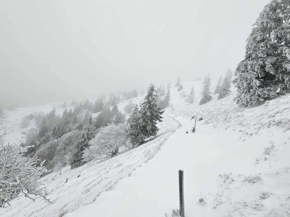 Tourenguide Wanderungen Westweg