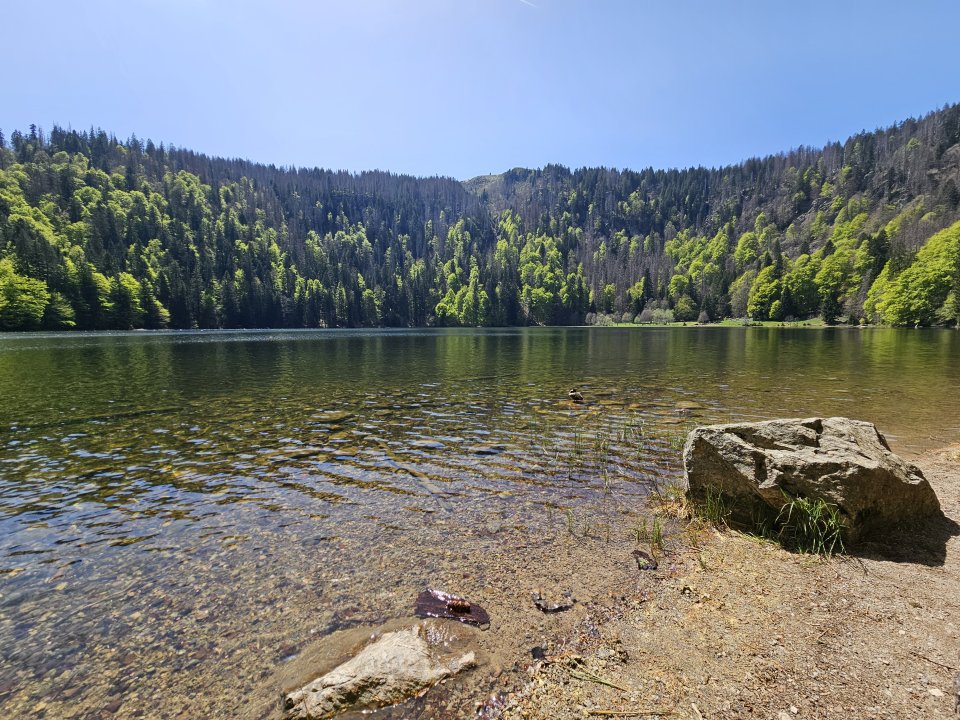Tourenguide Wanderungen Feldberg