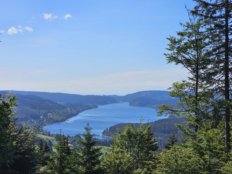 Tourguide Hochschwarzwald Hinterzarten