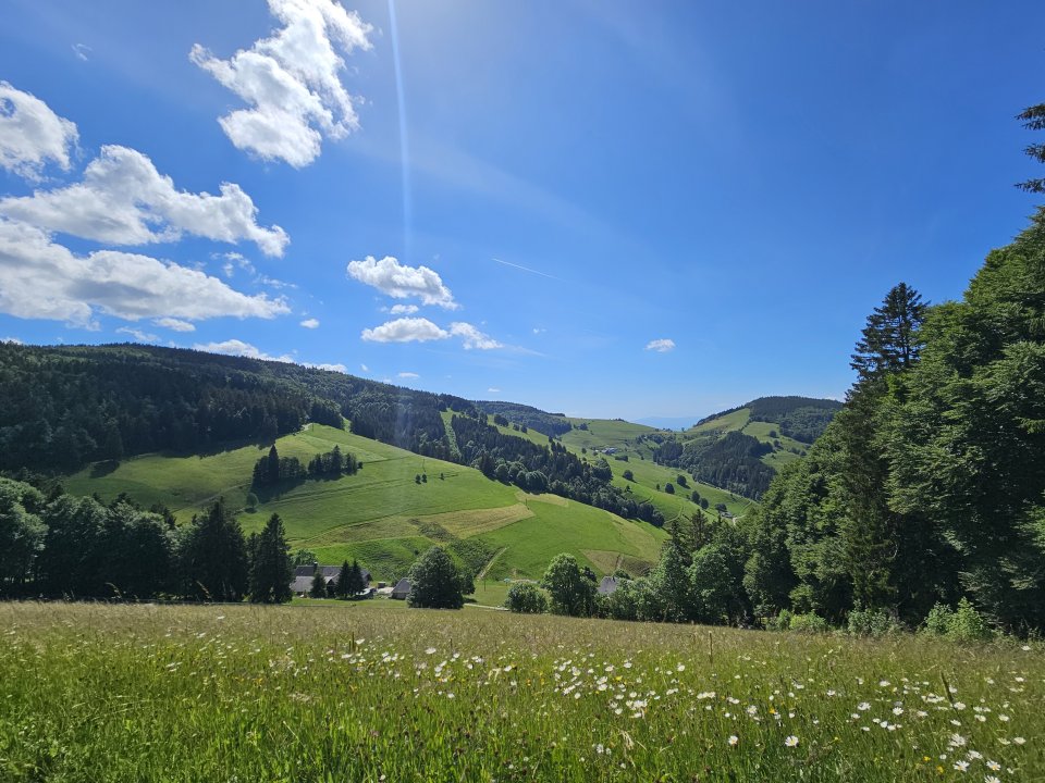Tourguide Hochschwarzwald MTB Touren