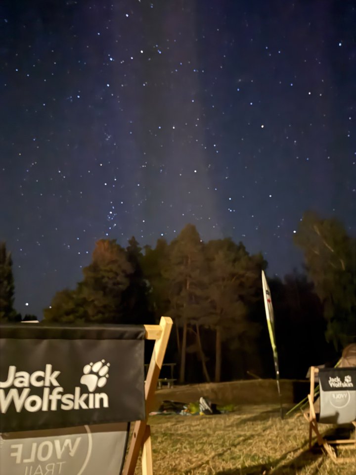 Tourguide Wolftrail Schwarzwald