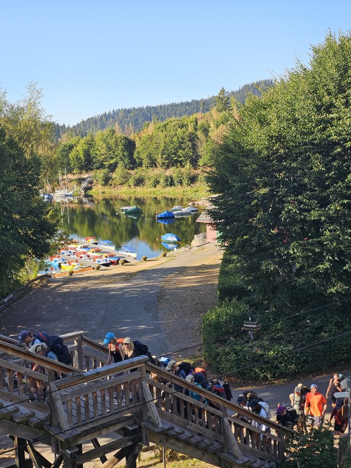 Tourguide Wolftrail Schwarzwald